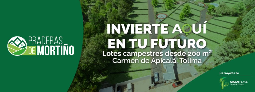 lotes carmen de apicala