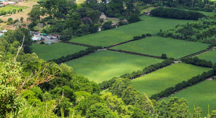 vista panoramica de lotes