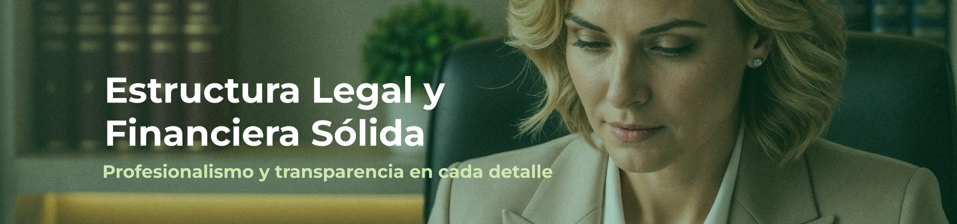 banner estrucutra legal sólida